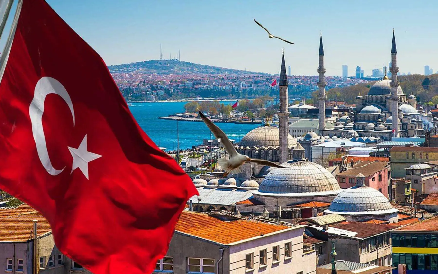 Rus üreticiler için Türkiye ihracat fırsatları webinarı